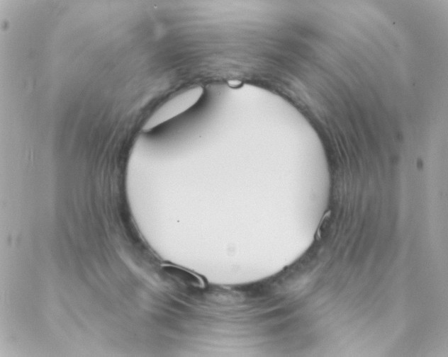 X0000088220215200706051331