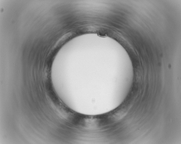 X0000088220216200706051331