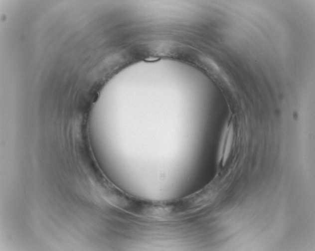 X0000088220217200706051331