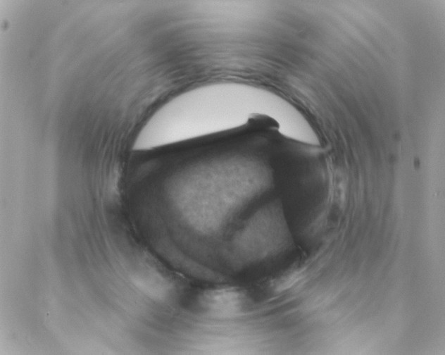 X0000088220219200706051331