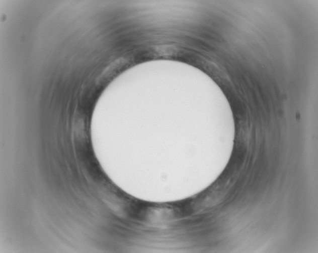 X0000088220220200706051331