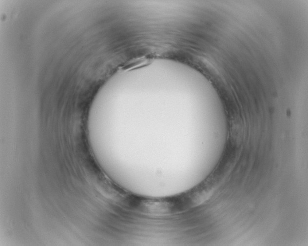 X0000088220221200706051330