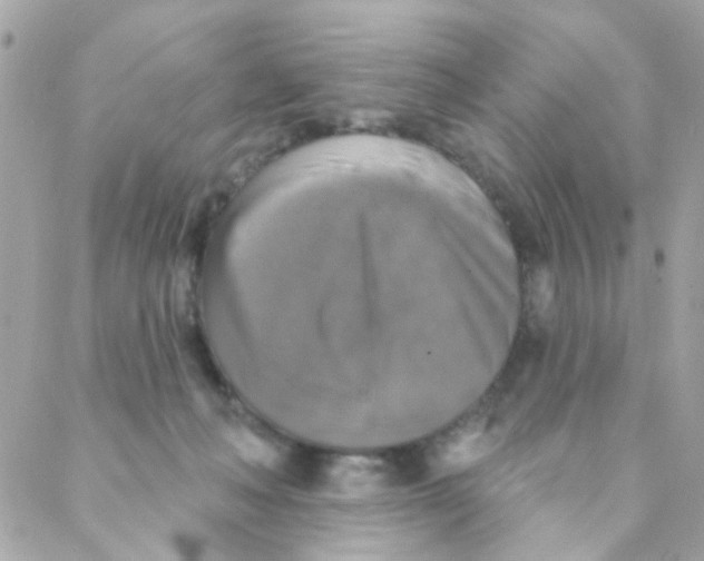 X0000088220222200706051330