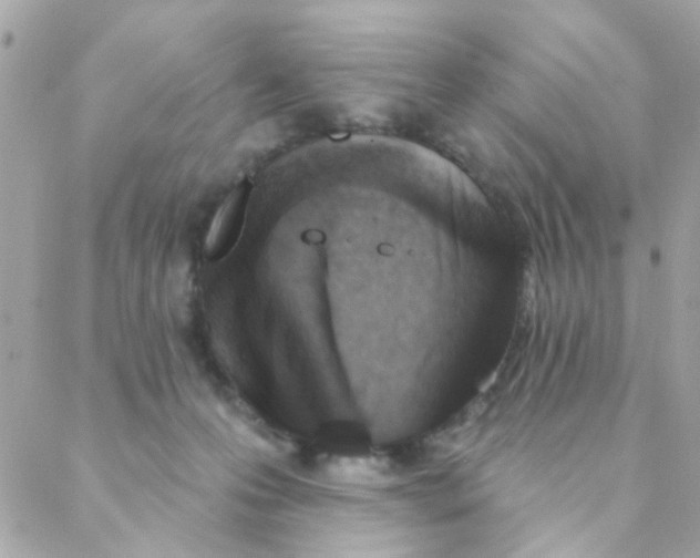 X0000088220223200706051330