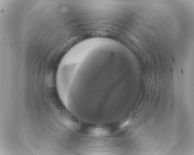 X0000088220224200706051330