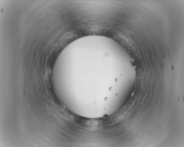 X0000088220225200706051330