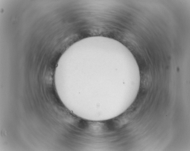 X0000088220226200706051330