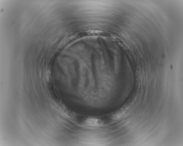 X0000088220227200706051330