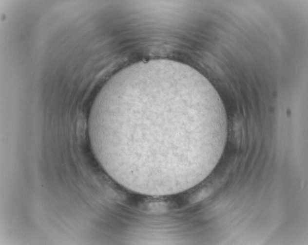 X0000088220228200706051330