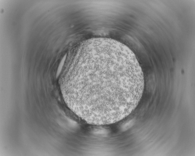 X0000088220229200706051330