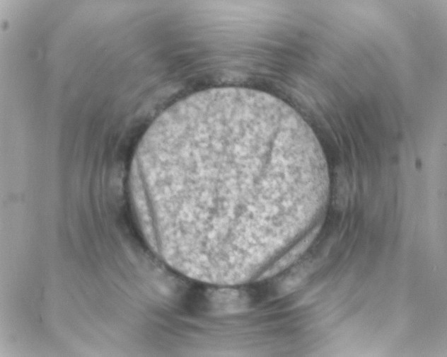 X0000088220230200706051330