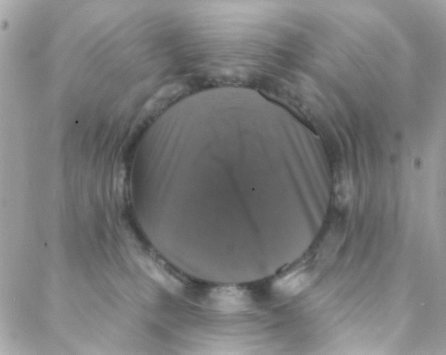 X0000088220231200706051330