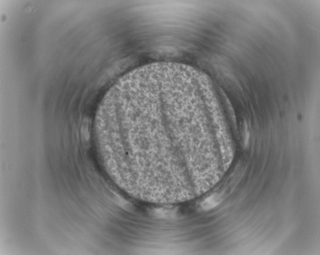 X0000088220232200706051330