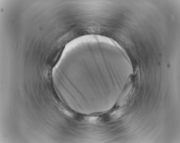 X0000088220233200706051330