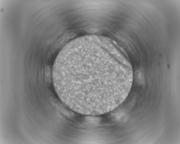 X0000088220234200706051330