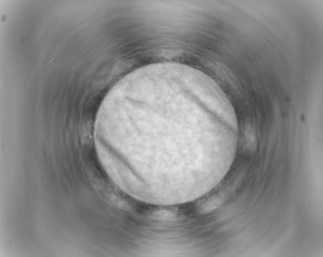 X0000088220236200706051330