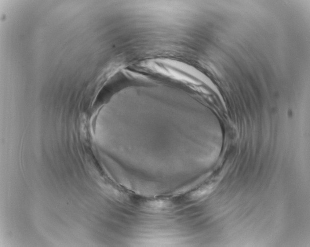 X0000088220237200706051330