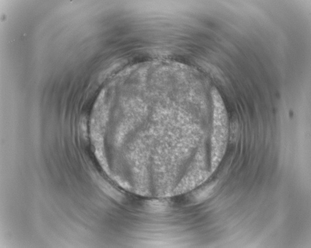 X0000088220238200706051330