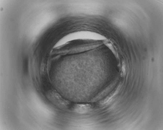 X0000088220239200706051330