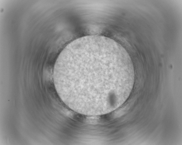 X0000088220240200706051330