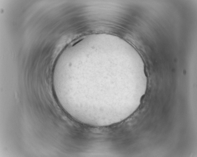 X0000088220241200706051329