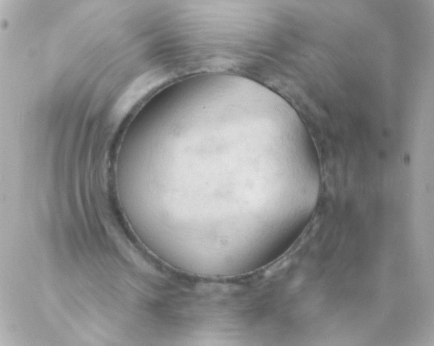 X0000088220242200706051329