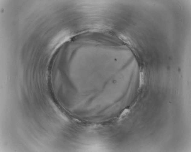 X0000088220243200706051329