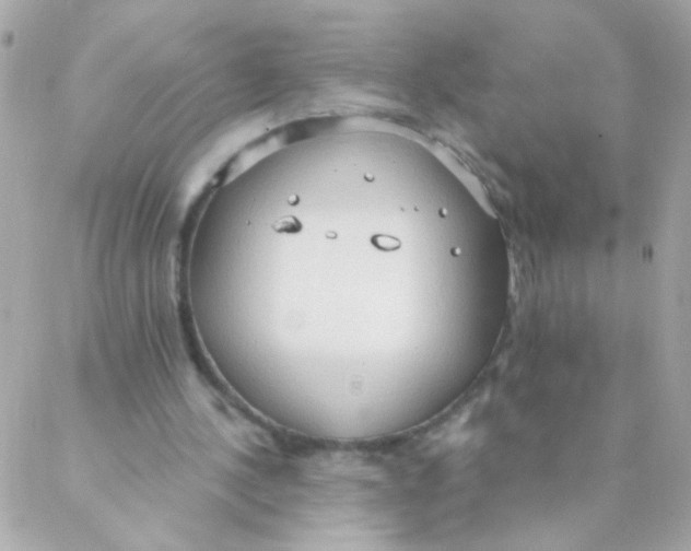 X0000088220244200706051329