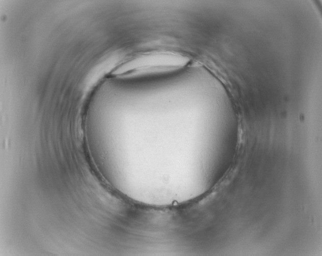 X0000088220245200706051329