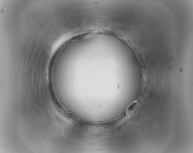 X0000088220246200706051329