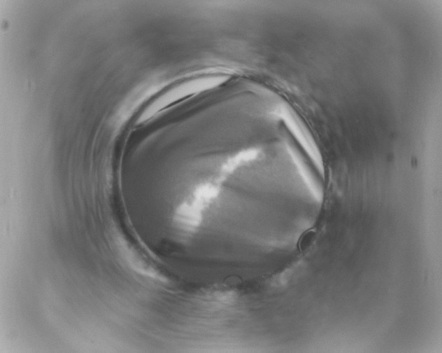 X0000088220247200706051329