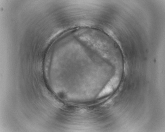 X0000088220249200706051330