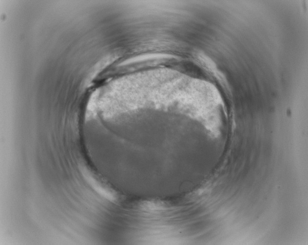 X0000088220250200706051330