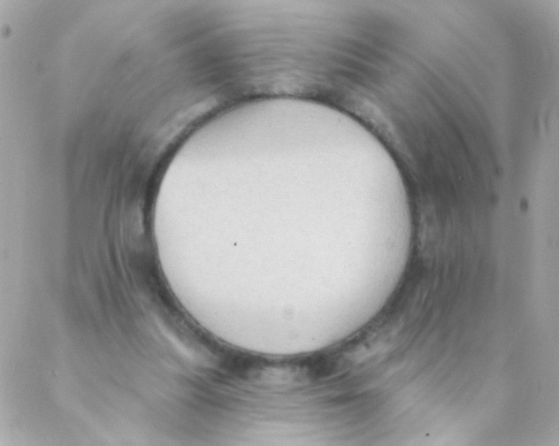 X0000088220251200706051330