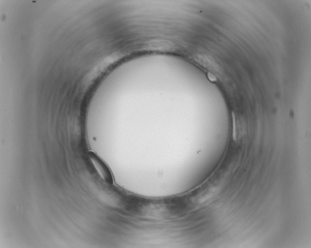 X0000088220252200706051330