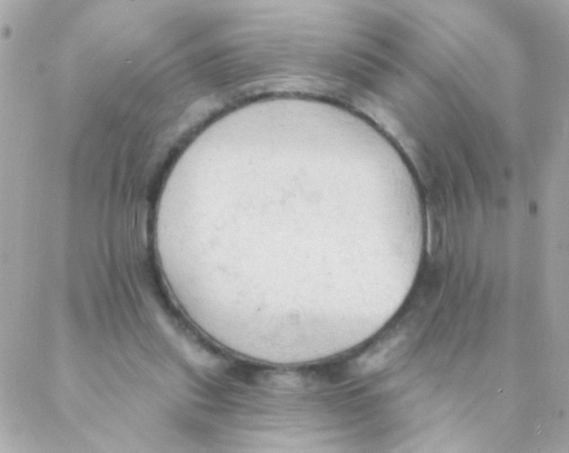 X0000088220253200706051330