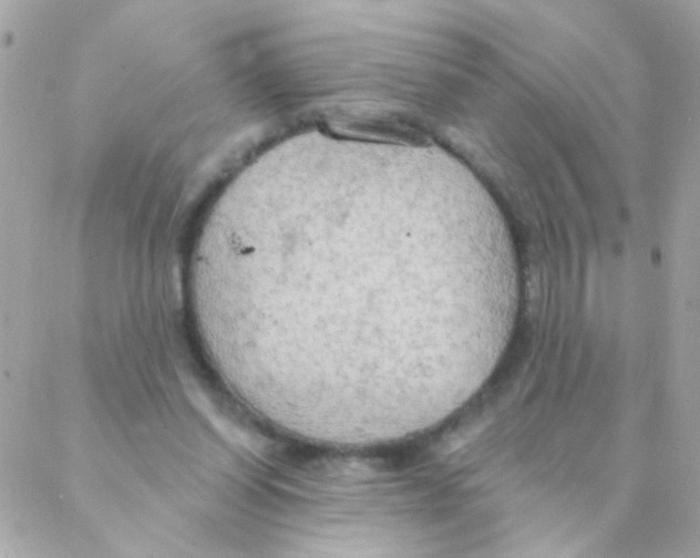 X0000088220254200706051330