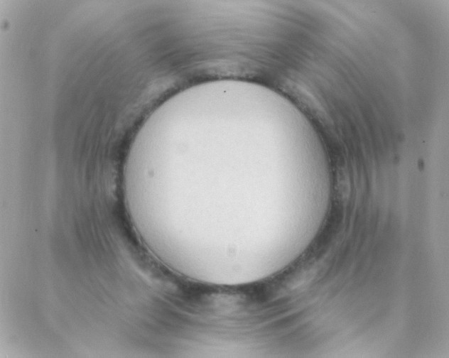 X0000088220255200706051330