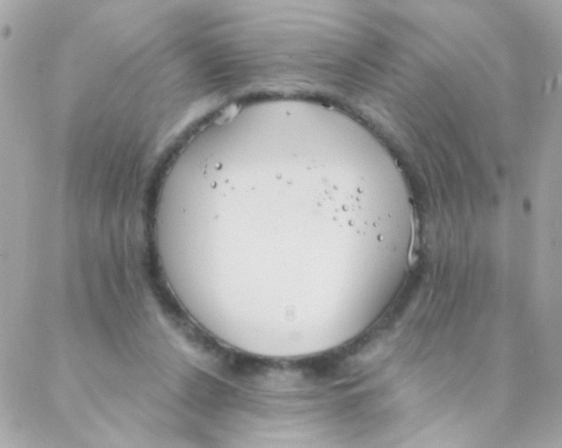 X0000088220256200706051330