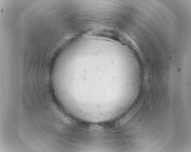 X0000088220257200706051330