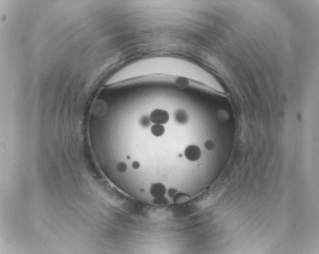 X0000088220258200706051330