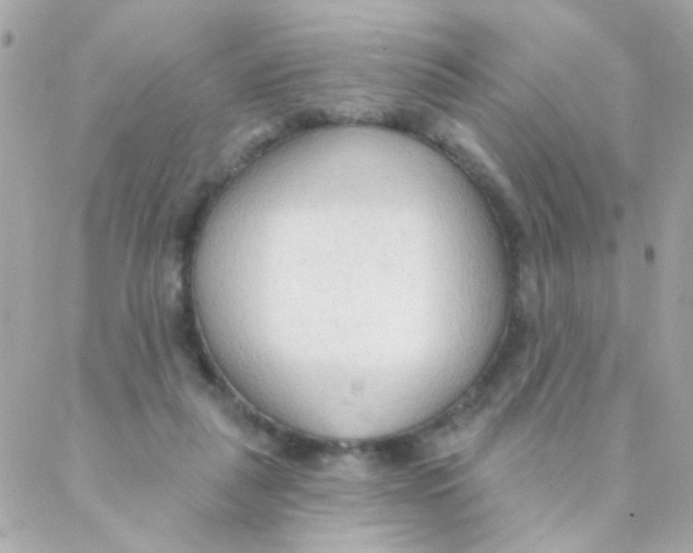 X0000088220259200706051330