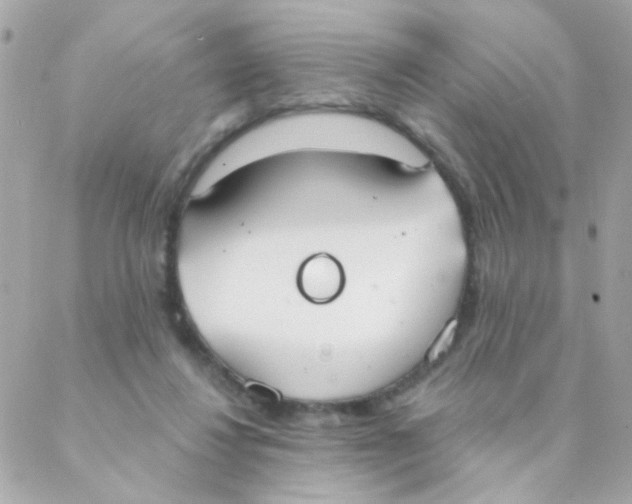 X0000088220260200706051330