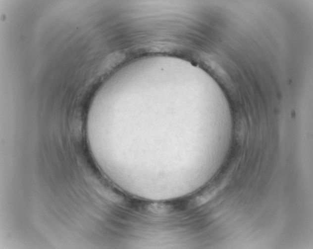 X0000088220261200706051330