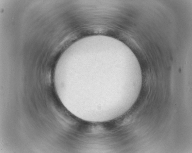 X0000088220262200706051330