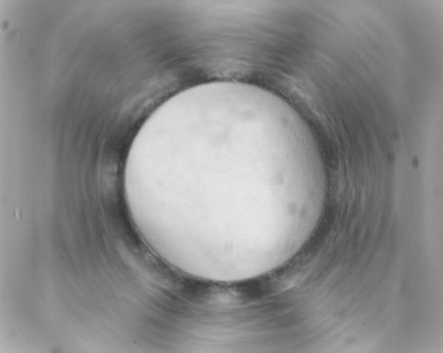 X0000088220263200706051330