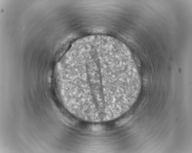 X0000088220264200706051330