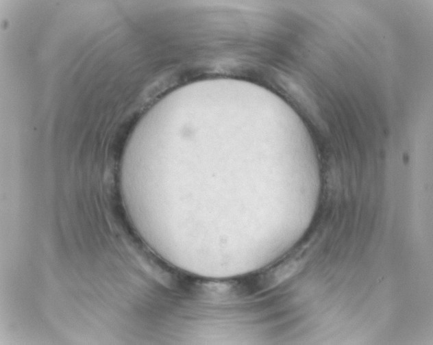 X0000088220265200706051330