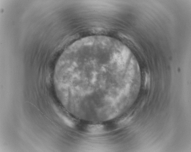 X0000088220266200706051330