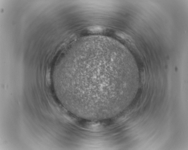 X0000088220267200706051330